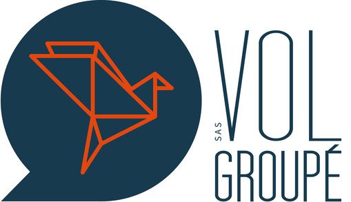 logo VOL GROUPE